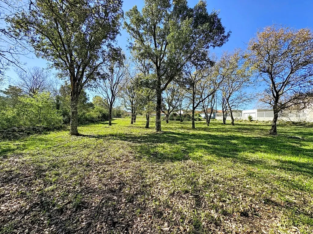 O lugar ideal para construir em plena natureza – Alcobaça
